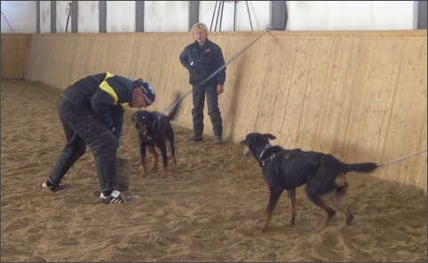 Training in Finland 11/2007